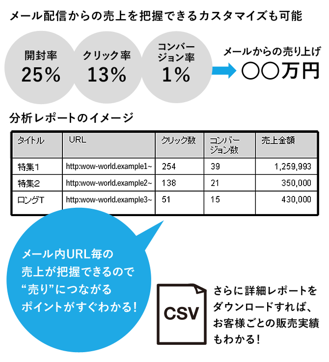 メール配信からの売上を把握できるカスタマイズも可能