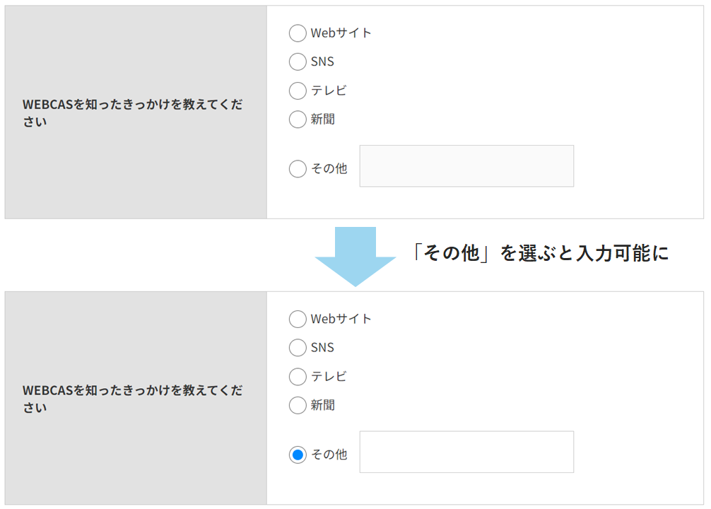 「その他」を選ぶと入力可能に