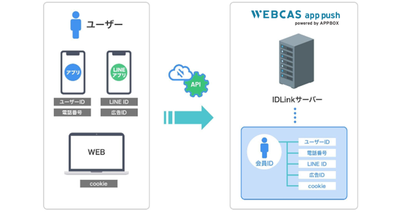 会員IDとの紐づけも可能_WEBCAS app push