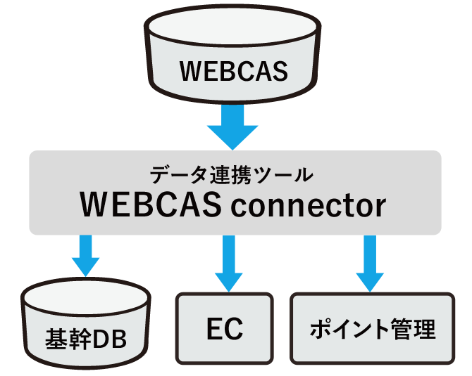 複数データベースとつなげて、属性に即したメール配信に活用