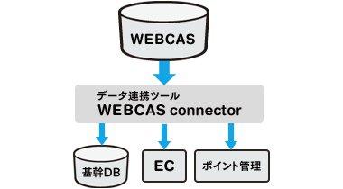 複数データベースとつなげて、属性に即したメール配信に活用