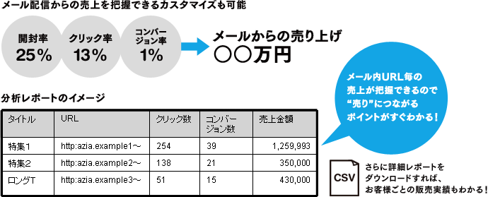 メール配信からの売上を把握できるカスタマイズも可能