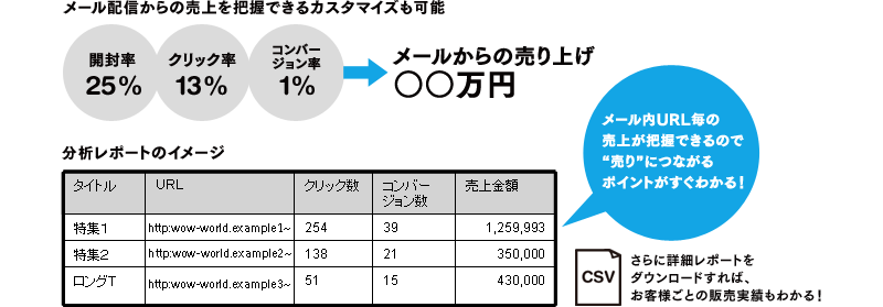 メール配信からの売上を把握できるカスタマイズも可能