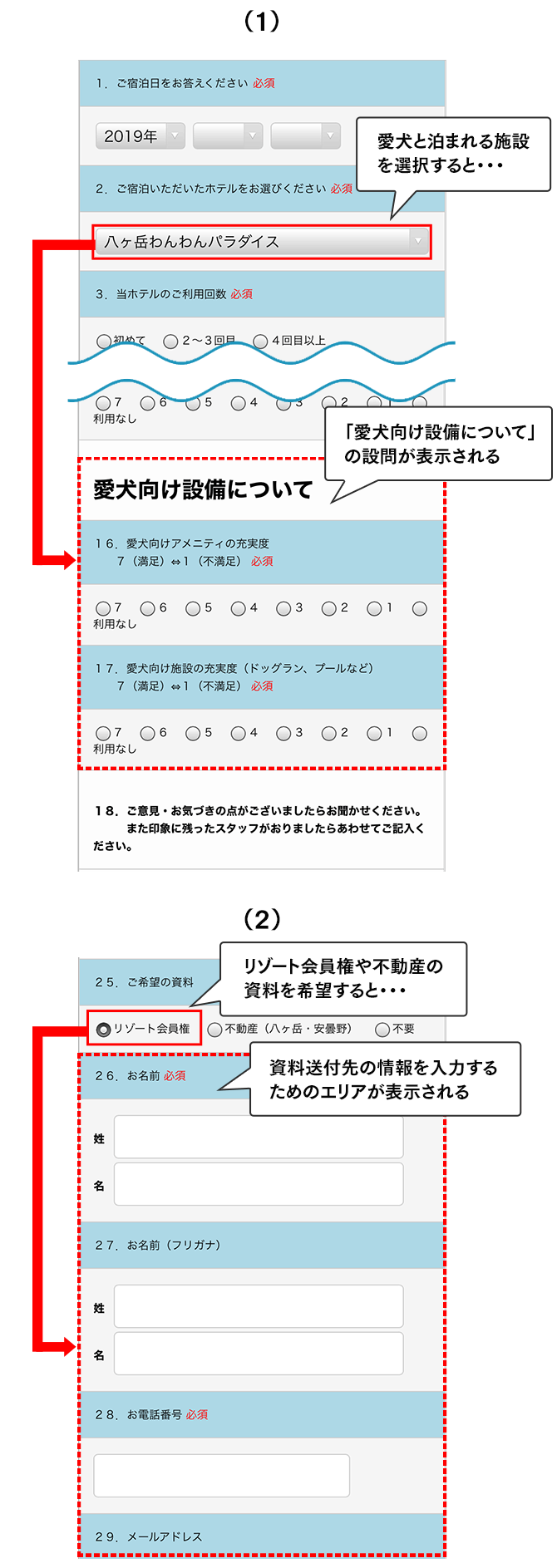 条件分岐設定（SP版）